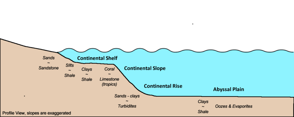 Marine sedimentation - opengeology.in